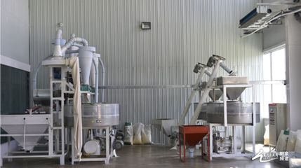 種植加工一體化 盂縣“辰厚、佳珍”產(chǎn)業(yè)發(fā)展持續(xù)發(fā)力與技術(shù)推廣新路徑